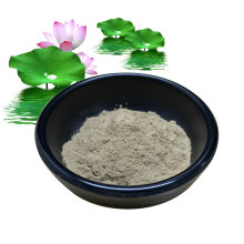 Lotus Extract Powder Nuciferine 50% for Weight Loss CAS 475-83-2